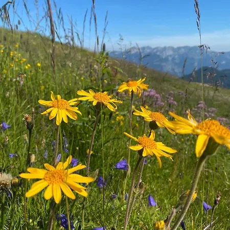 Gaestehaus Hoellwarth 아파트 *