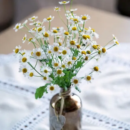 Apartment Gaestehaus Hoellwarth Stumm